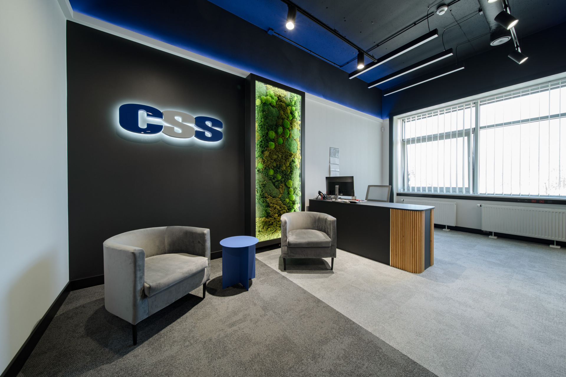 CSS Centrum Usług IT