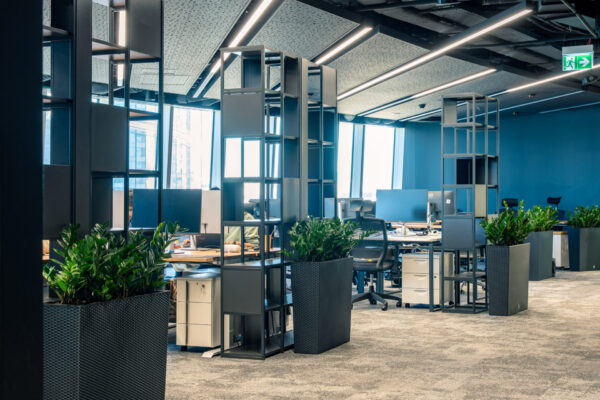 202504_porultra_tombudex_3